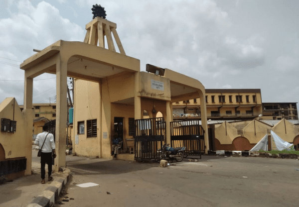 Why polytechnic graduates are more employable than university graduates in Nigeria