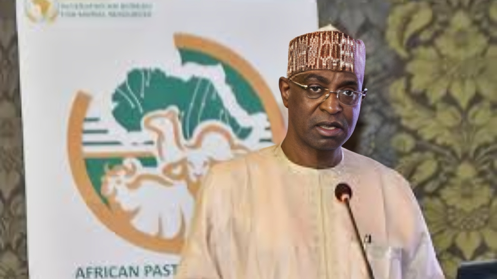 Idi Maiha: Power, policy and the politics of Livestock Development in Nigeria