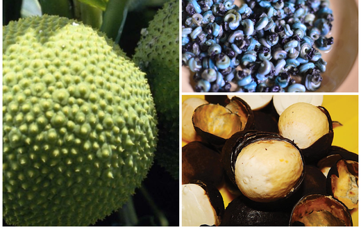 12 high-protein Nigerian foods your body is begging for