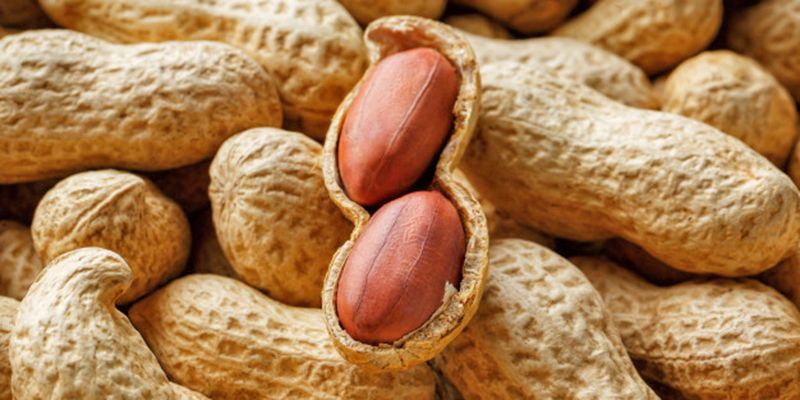 12 high-protein Nigerian foods your body is begging for
