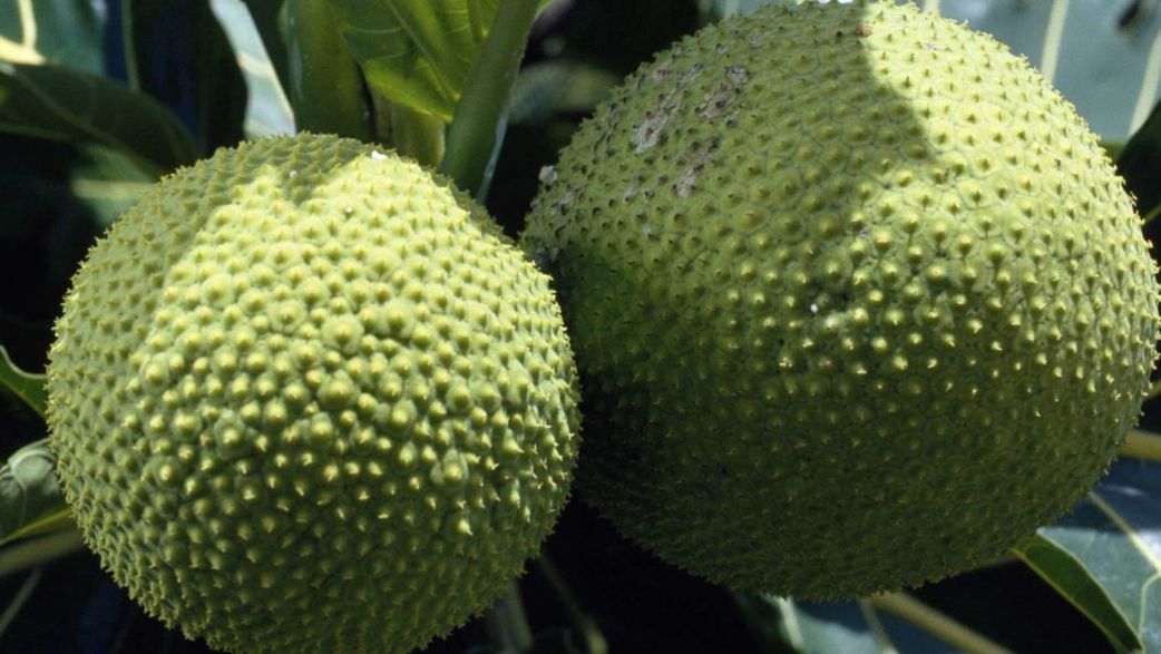 12 high-protein Nigerian foods your body is begging for