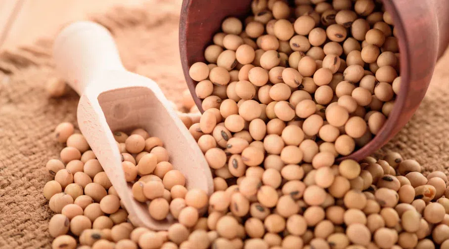 12 high-protein Nigerian foods your body is begging for