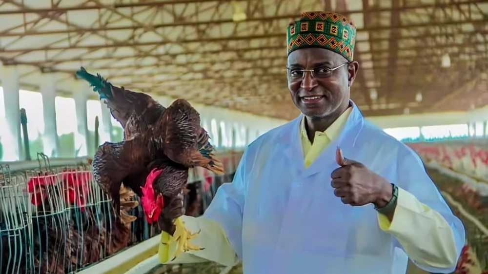 Idi Maiha: Power, policy and the politics of Livestock Development in Nigeria