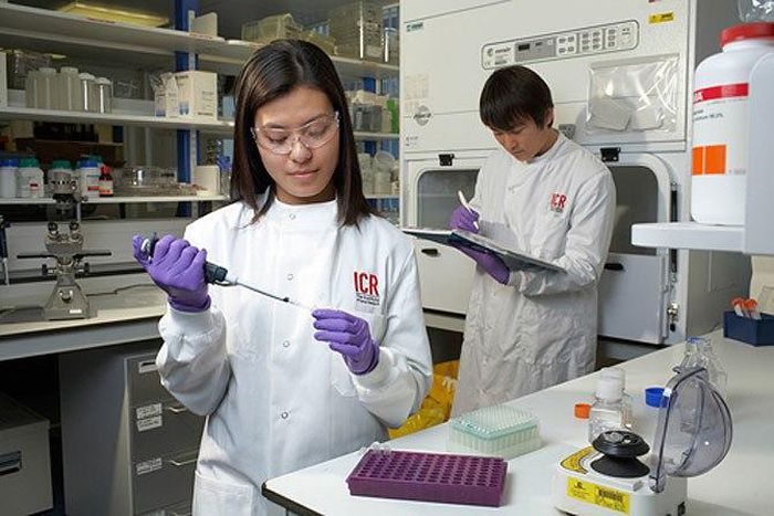 Institute of cancer research, London