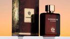 Top 7 Perfume Gifts Under ₦100,000 for Christmas