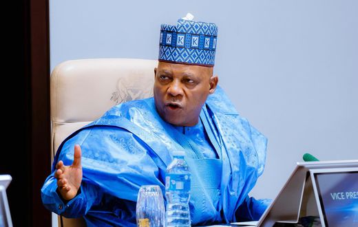 Vice President Kashim Shettima.  [Instagram:officialsksm]