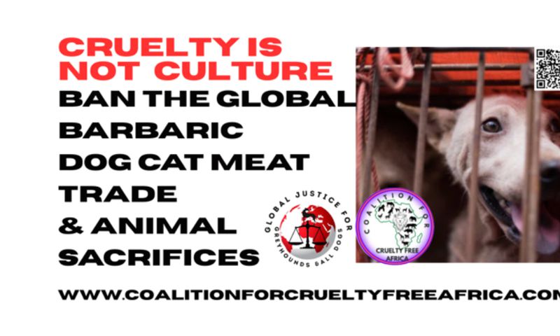 Coalition For Cruelty Free Africa Continue to Protest to End Dog and Cat Meat Trade and Animal Sacrifices