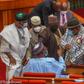 Nigerian senators [Tope Brown]