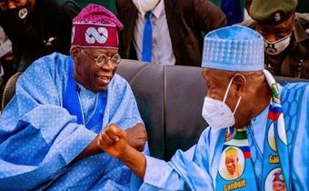 Bola Ahmed Tinubu and Abdullahi Ganduje (TheNation)