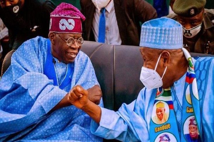 Bola Ahmed Tinubu and Abdullahi Ganduje (TheNation)