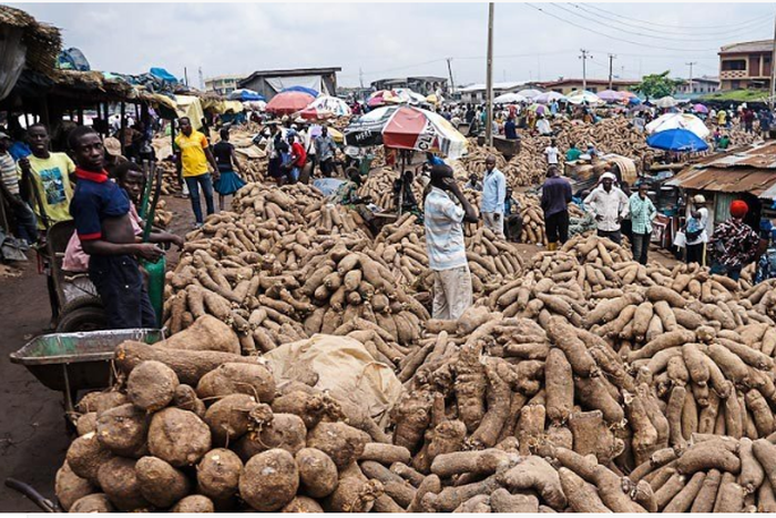 Yam association urges FG to sign trade agreement with EU [News Watch]