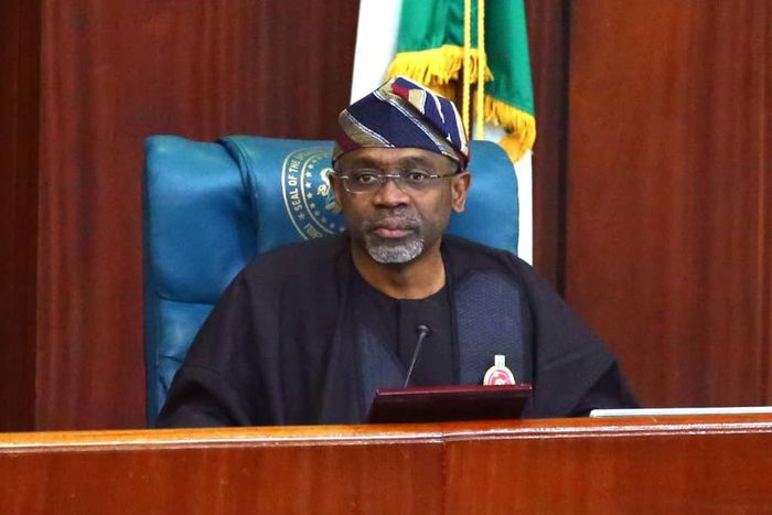 Femi Gbajabiamila (TheGuardianNG)