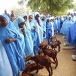Students of Government Girls Arabic Secondary School, Dutsinma receiving their goats