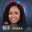 Amaka BBNaija 7 [Instagram/bigbronaija]