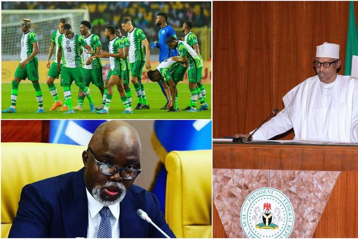 Pinnick's NFF tenders apology to Buhari's government for Super Eagles World Cup failure