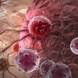 Cancer cells