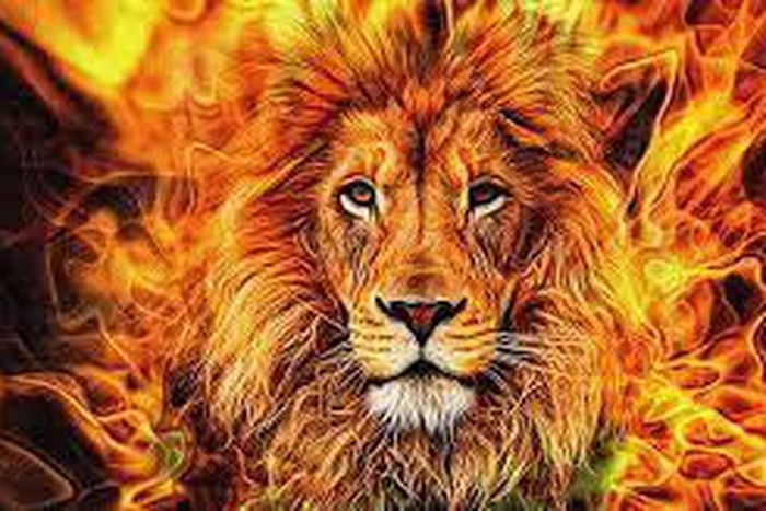 Here is how to love this zodiac sign [Peakpx]