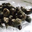 Periwinkles are delicious condiments [Glenbeighshellfish]