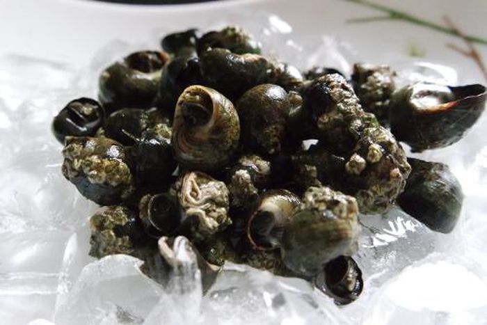 Periwinkles are delicious condiments [Glenbeighshellfish]