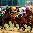 Horce-racing (MyBettingSites)