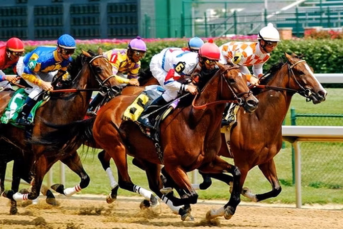Horce-racing (MyBettingSites)