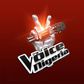 The Voice Logo