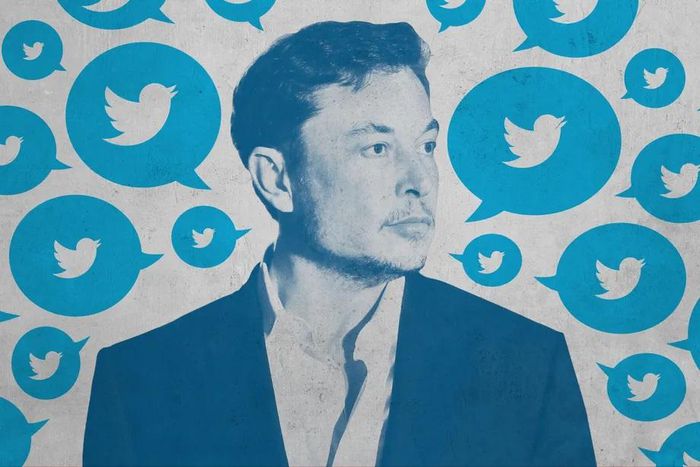 Elon Musk, Twitter Boss