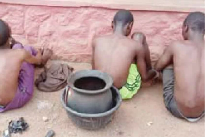 The suspects (Punch)