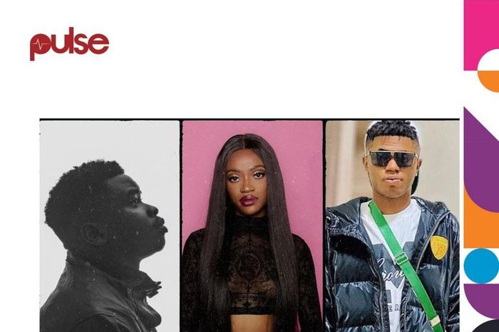 Pulse 20 Under 30 Individuals Shaping The Nigerian Music Industry