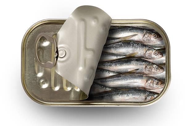 Herring, Sourced from iStock
