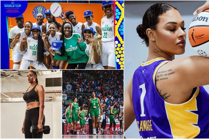 Liz Cambage tells D'Tigress to go back to 3rd World country