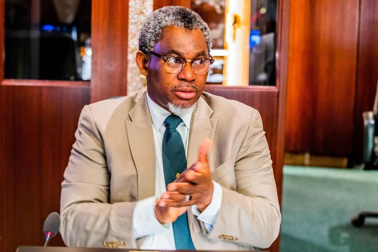 Mr Olamilekan Adegbite, Minister of Mines and Steel Development. [Twitter/@_LekanAdegbite]