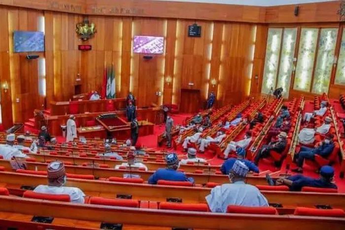 Floor-of-the-senate- WithinNigeria  (1)