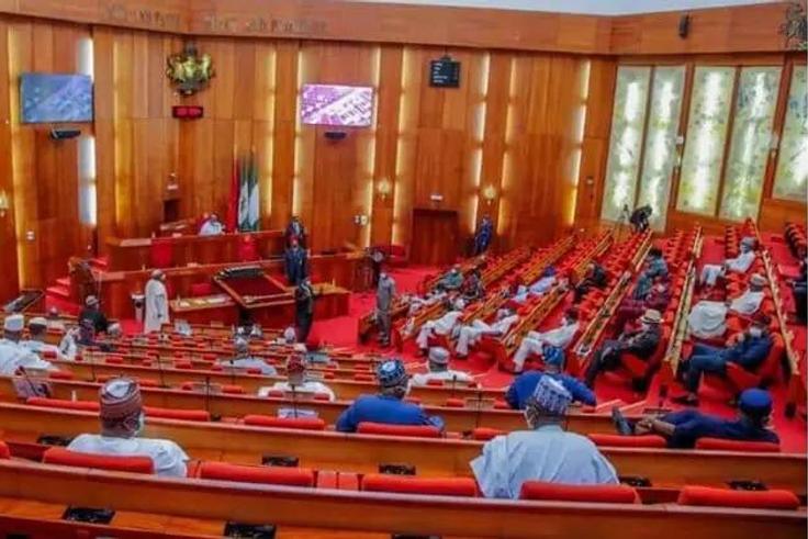 Floor-of-the-senate- WithinNigeria  (1)