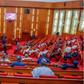 Floor-of-the-senate- WithinNigeria  (1)
