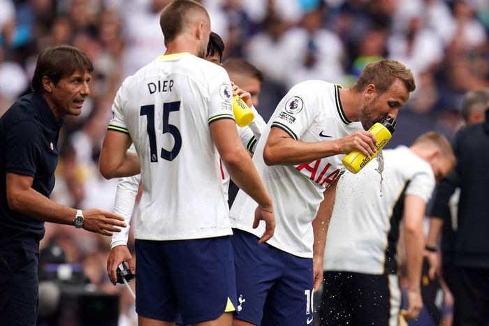 Harry Kane (r) scored the winner as Tottenham Hotspur beat Wolves