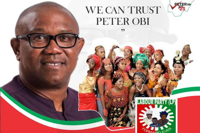 Peter Obi is the presidential candidate of the Labour Party. (LP)