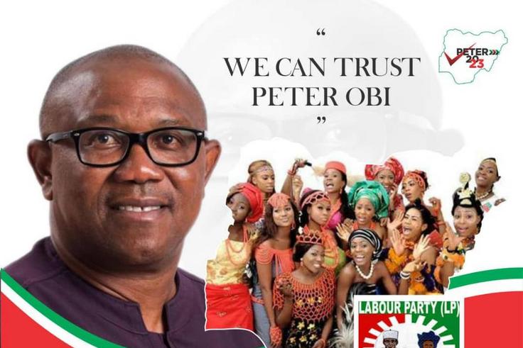 Peter Obi is the presidential candidate of the Labour Party. (LP)
