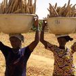 Food crises in Africa