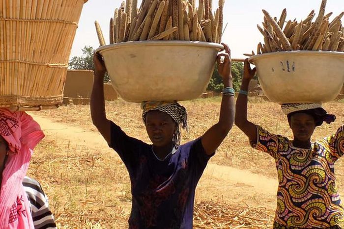 Food crises in Africa