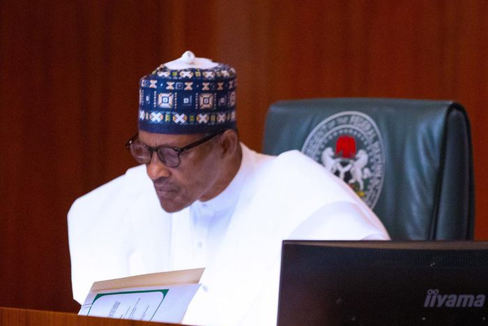 NBBF issues apology to President Buhari as Federal government lifts ban on basketball