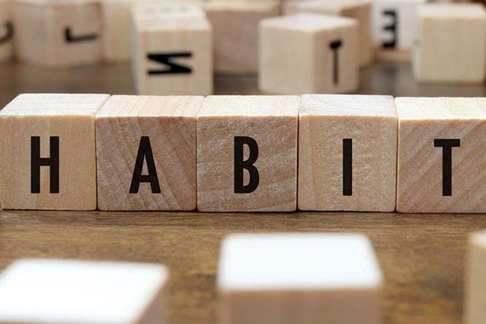 Develop good habits [Roseofyork]