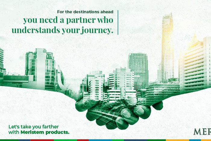 Meristem launches destinations campaign