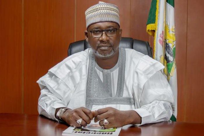 Mr Suleiman Adamu, the Minister of Water Resources [The Nation]