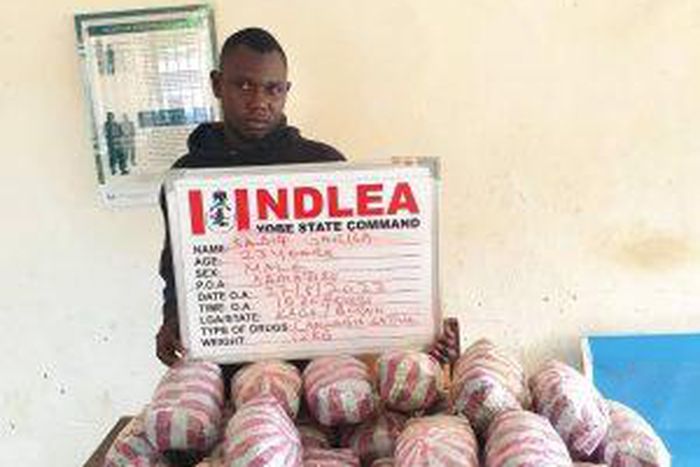 Suspect with illicit drugs seized by the NDLEA Personnel. [NAN]