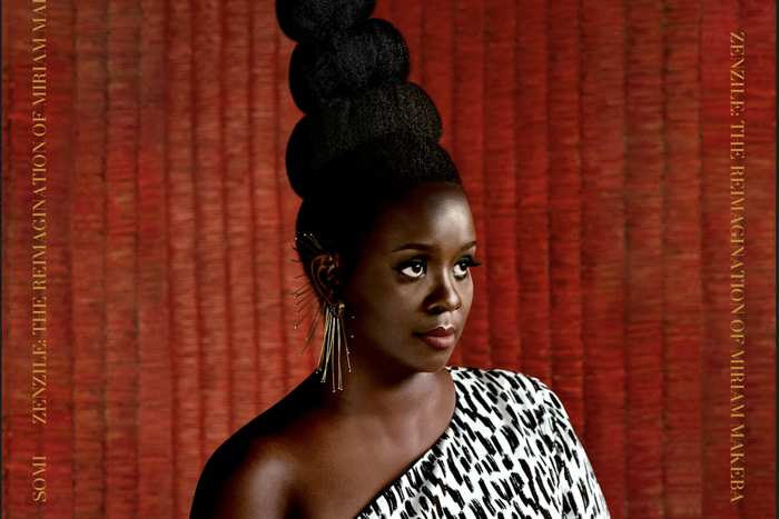 Somi, 33, is of Rwandan and Ugandan descent and currently resides in the United States of America, where she migrated to in her teens. (TBD)