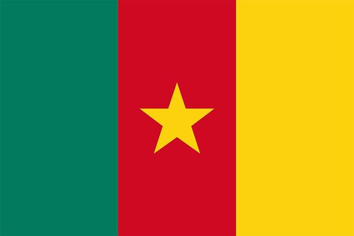 Flag Cameroon