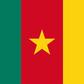 Flag Cameroon