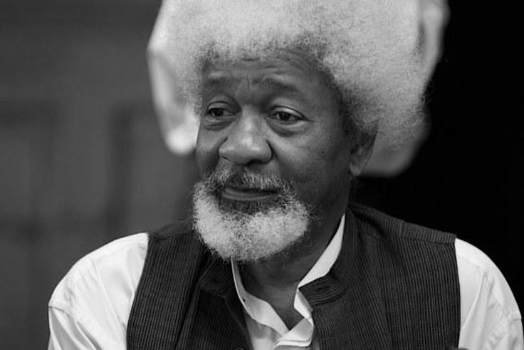 Professor Wole Soyinka speaks on President Buhari's RUGA scheme (Books Live)