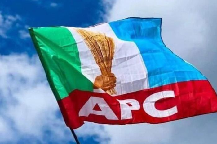 APC flag (TheCable)